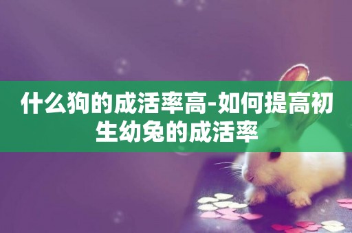 什么狗的成活率高-如何提高初生幼兔的成活率