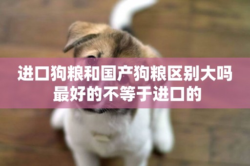 進口狗糧和國產狗糧區別大嗎 最好的不等于進口的