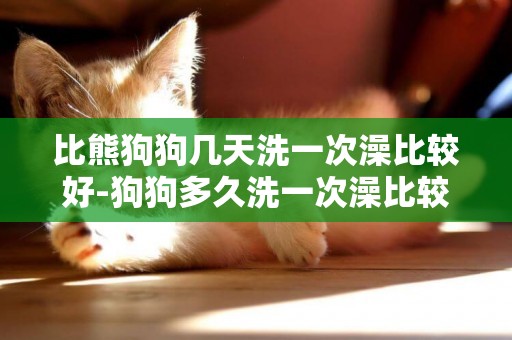 比熊狗狗幾天洗一次澡比較好-狗狗多久洗一次澡比較好