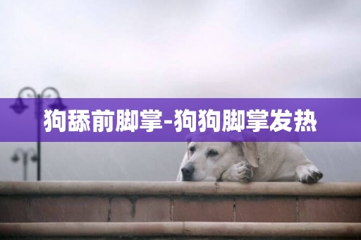 狗舔前腳掌-狗狗腳掌發熱