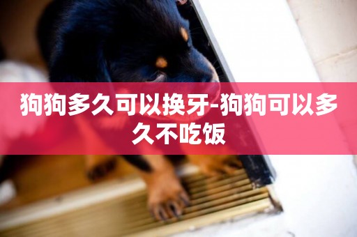 狗狗多久可以換牙-狗狗可以多久不吃飯