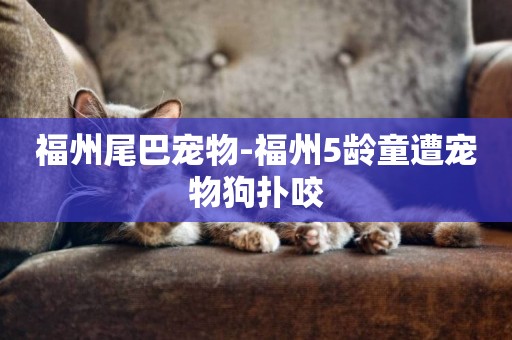 福州尾巴寵物-福州5齡童遭寵物狗撲咬