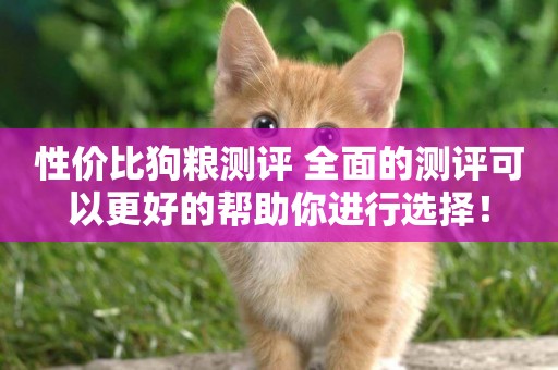 性價比狗糧測評 全面的測評可以更好的幫助你進行選擇！