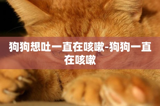狗狗想吐一直在咳嗽-狗狗一直在咳嗽