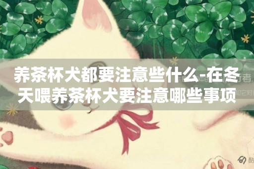 養茶杯犬都要注意些什么-在冬天喂養茶杯犬要注意哪些事項