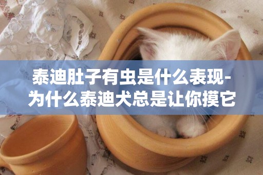 泰迪肚子有蟲是什么表現-為什么泰迪犬總是讓你摸它“肚子”