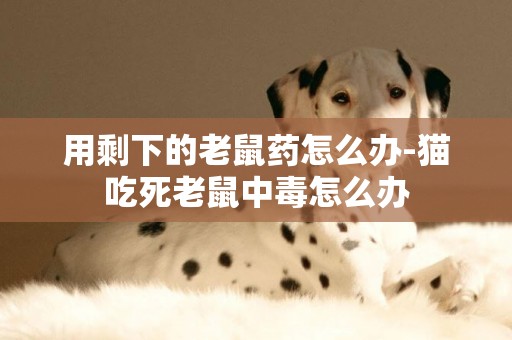 用剩下的老鼠藥怎么辦-貓吃死老鼠中毒怎么辦