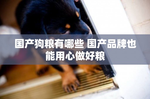 國產狗糧有哪些 國產品牌也能用心做好糧