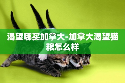 渴望哪買加拿大-加拿大渴望貓糧怎么樣