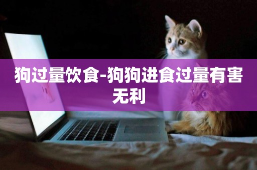 狗過量飲食-狗狗進食過量有害無利