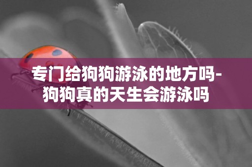 專門給狗狗游泳的地方嗎-狗狗真的天生會游泳嗎