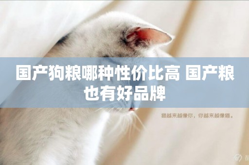 國產狗糧哪種性價比高 國產糧也有好品牌
