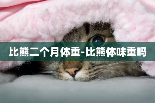 比熊二個月體重-比熊體味重嗎