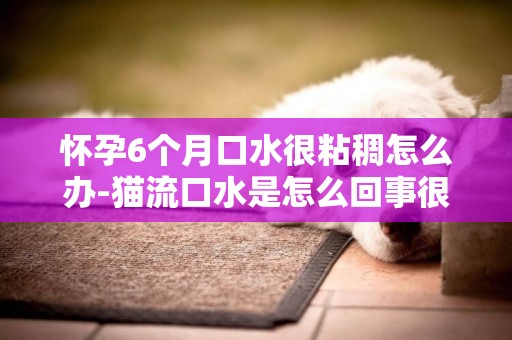 懷孕6個月口水很粘稠怎么辦-貓流口水是怎么回事很粘稠的口水
