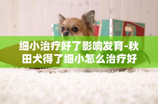 細小治療好了影響發育-秋田犬得了細小怎么治療好
