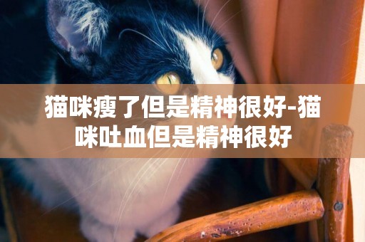 貓咪瘦了但是精神很好-貓咪吐血但是精神很好