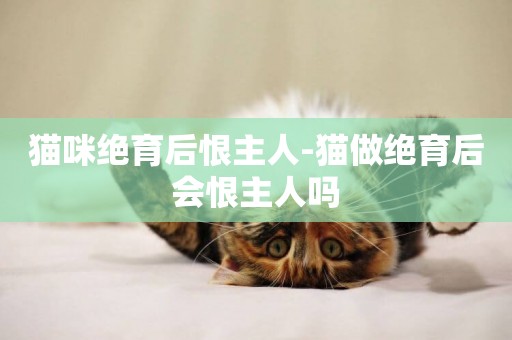 貓咪絕育后恨主人-貓做絕育后會恨主人嗎