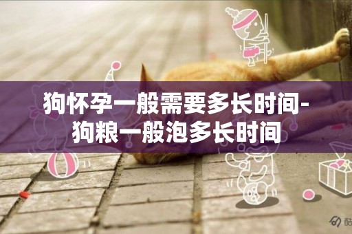 狗懷孕一般需要多長時間-狗糧一般泡多長時間