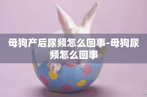 母狗產后尿頻怎么回事-母狗尿頻怎么回事