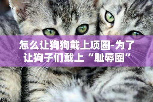 怎么讓狗狗戴上項圈-為了讓狗子們戴上“恥辱圈”