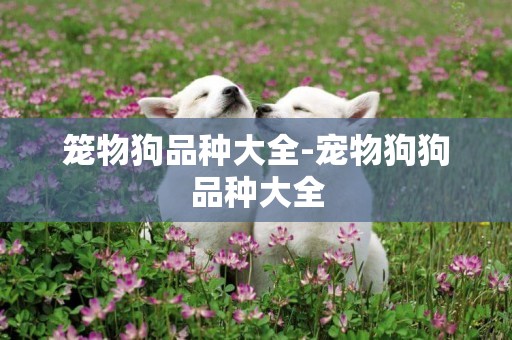 籠物狗品種大全-寵物狗狗品種大全