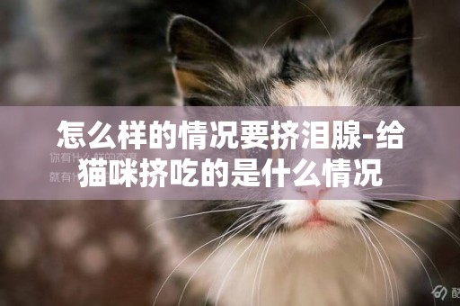 怎么樣的情況要擠淚腺-給貓咪擠吃的是什么情況