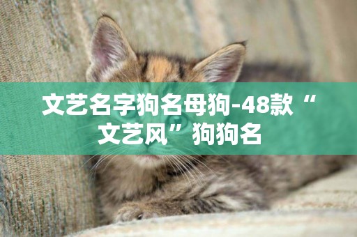 文藝名字狗名母狗-48款“文藝風”狗狗名