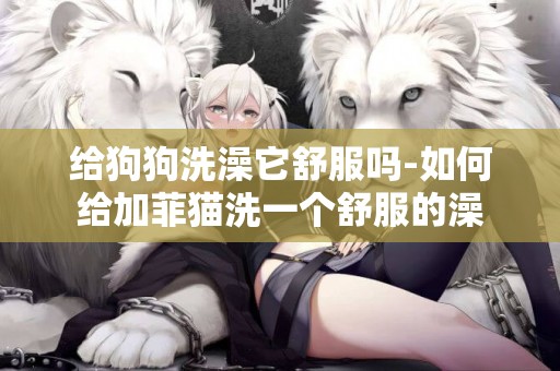 給狗狗洗澡它舒服嗎-如何給加菲貓洗一個舒服的澡