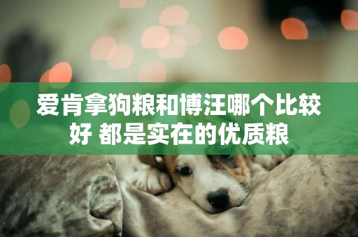 愛肯拿狗糧和博汪哪個比較好 都是實在的優質糧