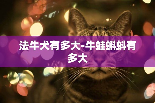 法牛犬有多大-牛蛙蝌蚪有多大