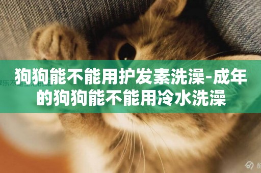狗狗能不能用護發素洗澡-成年的狗狗能不能用冷水洗澡
