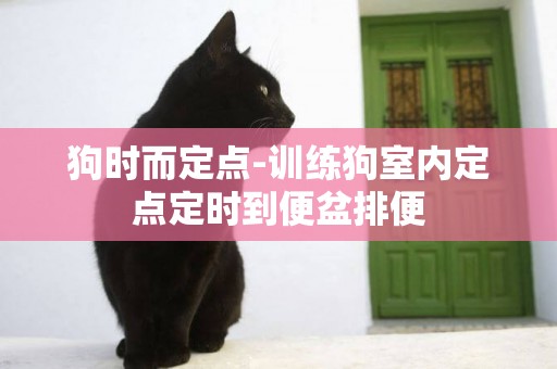 狗時而定點-訓練狗室內定點定時到便盆排便