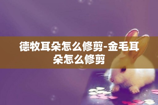 德牧耳朵怎么修剪-金毛耳朵怎么修剪