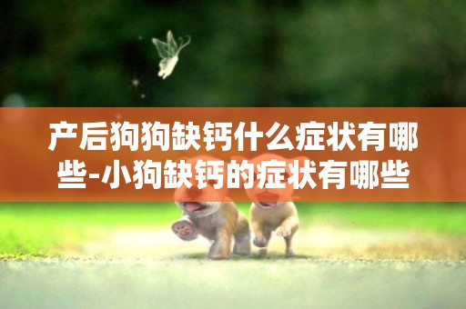 產后狗狗缺鈣什么癥狀有哪些-小狗缺鈣的癥狀有哪些