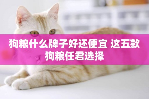 狗糧什么牌子好還便宜 這五款狗糧任君選擇