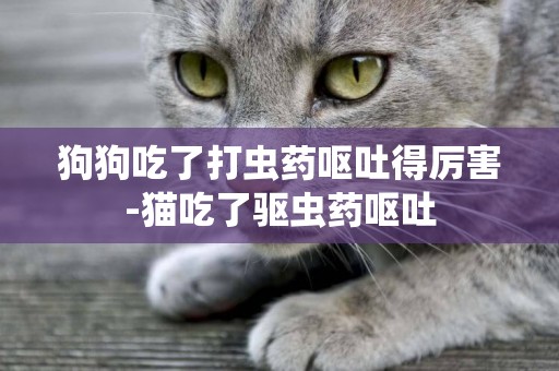 狗狗吃了打蟲藥嘔吐得厲害-貓吃了驅蟲藥嘔吐