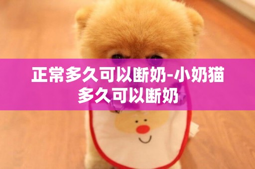 正常多久可以斷奶-小奶貓多久可以斷奶