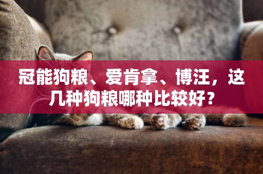 冠能狗糧、愛肯拿、博汪，這幾種狗糧哪種比較好？
