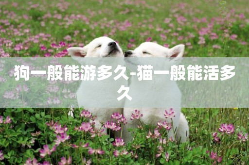狗一般能游多久-貓一般能活多久