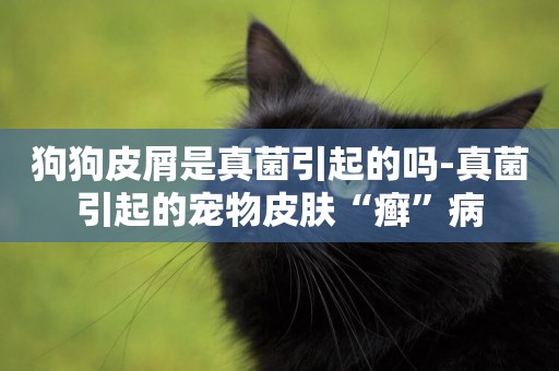 狗狗皮屑是真菌引起的嗎-真菌引起的寵物皮膚“癬”病