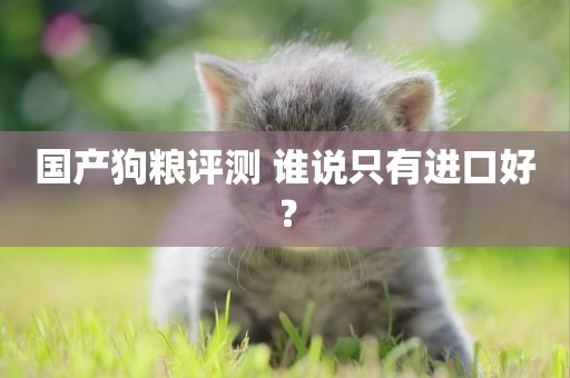 國產狗糧評測 誰說只有進口好？