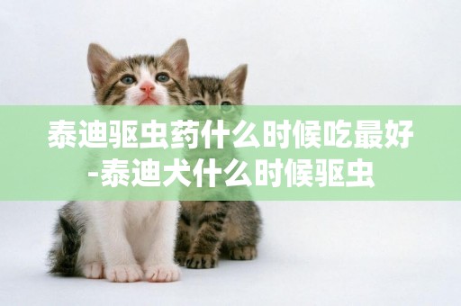 泰迪驅蟲藥什么時候吃最好-泰迪犬什么時候驅蟲
