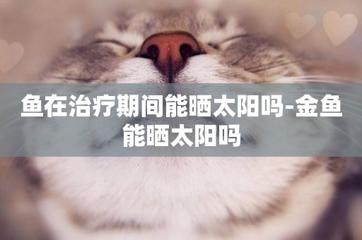 魚在治療期間能曬太陽嗎-金魚能曬太陽嗎