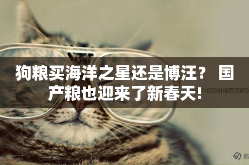 狗糧買海洋之星還是博汪？ 國產糧也迎來了新春天!