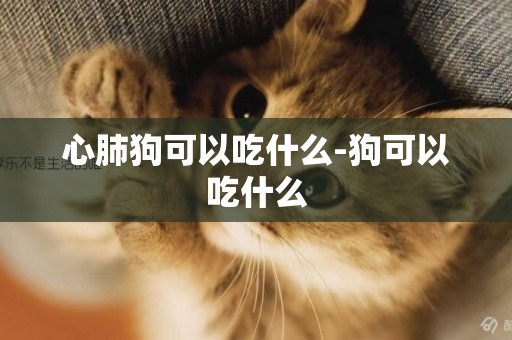 心肺狗可以吃什么-狗可以吃什么