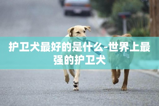 護衛犬最好的是什么-世界上最強的護衛犬