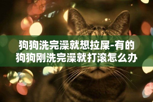 狗狗洗完澡就想拉屎-有的狗狗剛洗完澡就打滾怎么辦