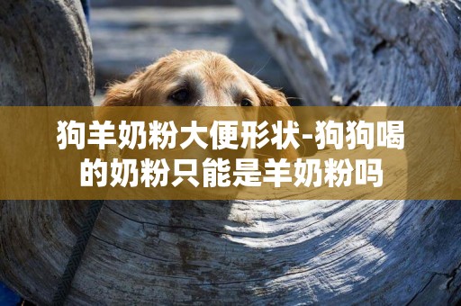 狗羊奶粉大便形狀-狗狗喝的奶粉只能是羊奶粉嗎