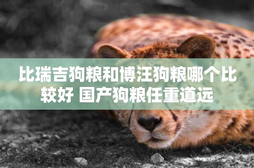 比瑞吉狗糧和博汪狗糧哪個比較好 國產狗糧任重道遠