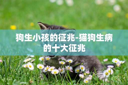 狗生小孩的征兆-貓狗生病的十大征兆